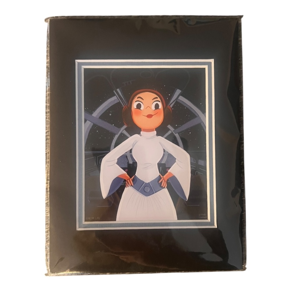 Disney Star Wars Princess Leia Power of Resistance Art Print Nidhi Chanani 6x8 - Picture 2 of 6